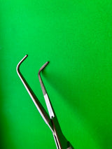 V. Mueller CH1726-001 Mixter Forceps, Right Angled, 10-1/2"