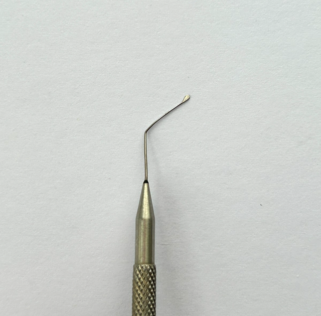 Karl Storz E0629 Drysdale nucleus manipulator, 4-3/8''