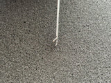Karl Storz 221509 Ear Forceps, curved right, 8 cm