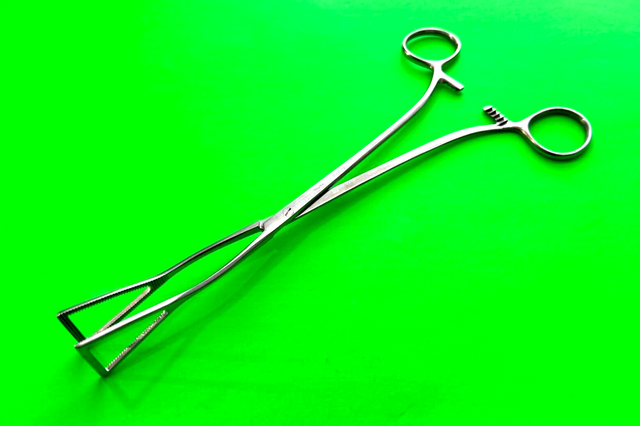 Pilling Surgical 34-2672 Duval Lung Forceps 1" Wide Jaw, 9"