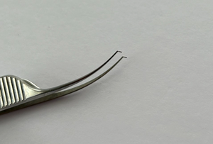 Karl Storz E3199 Troutman-Barraquer Corneal Forceps, 0.12mm x 3"