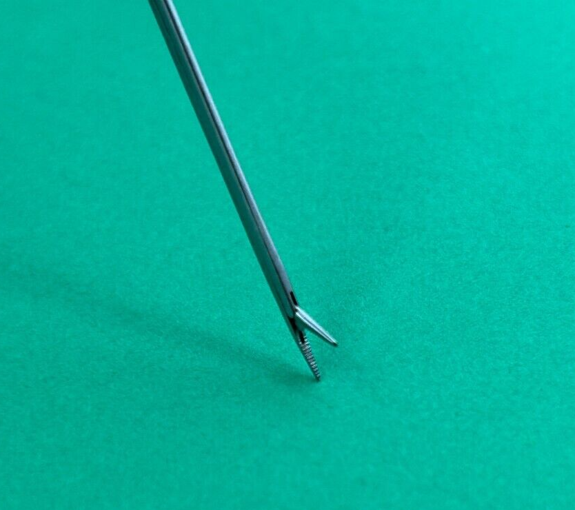 Jarit Surgical Alligator Forceps, Straight 8cm Shaft